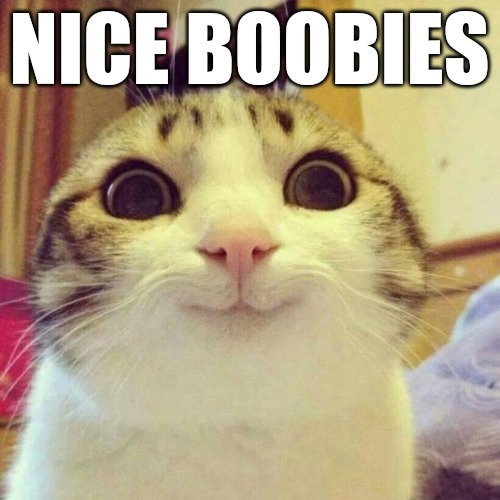 Smiling Cat Meme | NICE BOOBIES | image tagged in memes,smiling cat | made w/ Imgflip meme maker