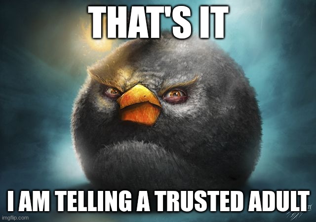 angry birds bomb | THAT'S IT; I AM TELLING A TRUSTED ADULT | image tagged in angry birds bomb | made w/ Imgflip meme maker
