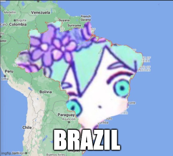 Brazil basil | BRAZIL | image tagged in brazil basil | made w/ Imgflip meme maker