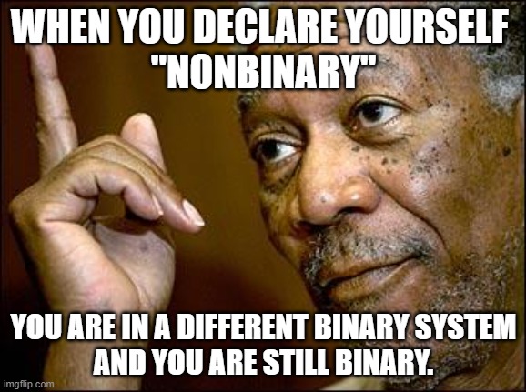 This Morgan Freeman | WHEN YOU DECLARE YOURSELF 
"NONBINARY"; YOU ARE IN A DIFFERENT BINARY SYSTEM
AND YOU ARE STILL BINARY. | image tagged in this morgan freeman | made w/ Imgflip meme maker