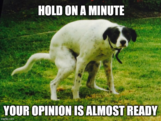 That's like, your opinion man |  HOLD ON A MINUTE; YOUR OPINION IS ALMOST READY | image tagged in opinion,pooping,dog | made w/ Imgflip meme maker