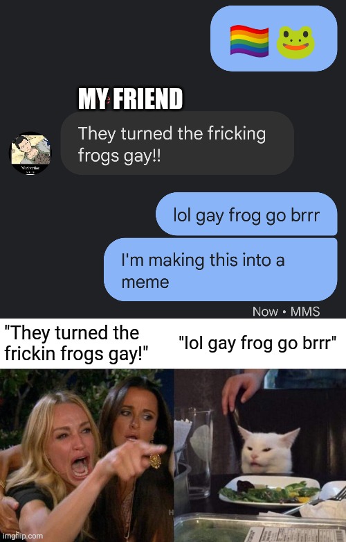 MY FRIEND; "They turned the frickin frogs gay!"; "lol gay frog go brrr" | image tagged in memes,woman yelling at cat,frog,gay | made w/ Imgflip meme maker