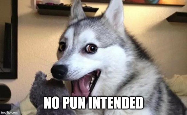 Pun dog - husky | NO PUN INTENDED | image tagged in pun dog - husky | made w/ Imgflip meme maker