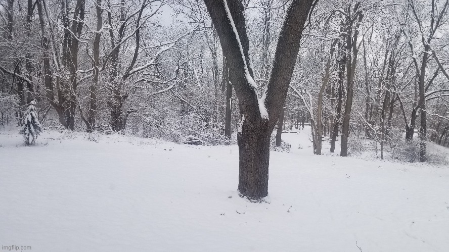 Medium snow in Wisconsin | image tagged in snow,december,photography,camera | made w/ Imgflip meme maker