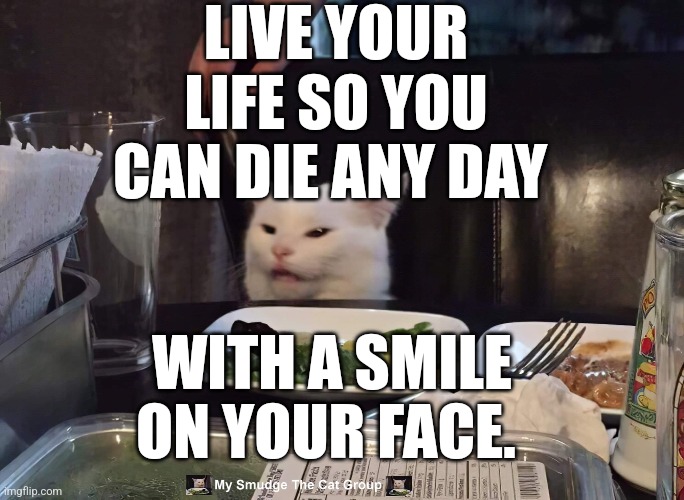 LIVE YOUR LIFE SO YOU CAN DIE ANY DAY; WITH A SMILE ON YOUR FACE. | image tagged in smudge the cat | made w/ Imgflip meme maker