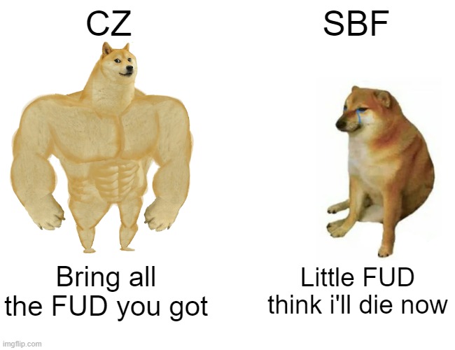 CZ Vs SBF FUD | CZ; SBF; Bring all the FUD you got; Little FUD think i'll die now | image tagged in memes,cz,sbf,fud,binance,ftx | made w/ Imgflip meme maker