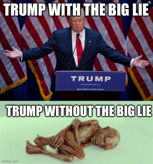 TRUMP WITH THE BIG LIE TRUMP WITHOUT THE BIG LIE | image tagged in donald trump,dead baby voldemort / what happened to him | made w/ Imgflip meme maker
