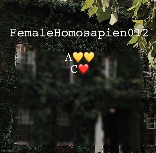 FemaleHomosapien012 | A💛💛
C❤️ | image tagged in femalehomosapien012 | made w/ Imgflip meme maker