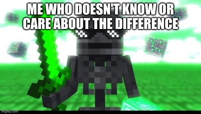 a normal wither skeleton story | ME WHO DOESN'T KNOW OR CARE ABOUT THE DIFFERENCE | image tagged in a normal wither skeleton story | made w/ Imgflip meme maker