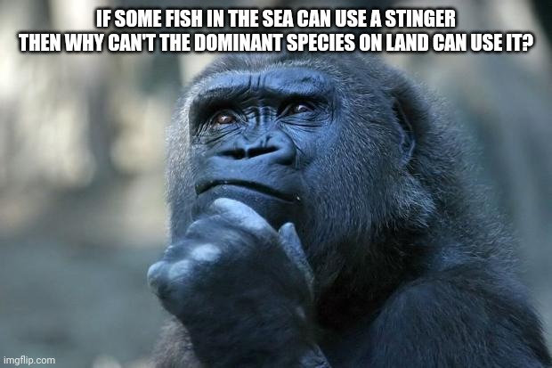 I liked that special a little bit... | IF SOME FISH IN THE SEA CAN USE A STINGER THEN WHY CAN'T THE DOMINANT SPECIES ON LAND CAN USE IT? | image tagged in deep thoughts,why are you reading this | made w/ Imgflip meme maker
