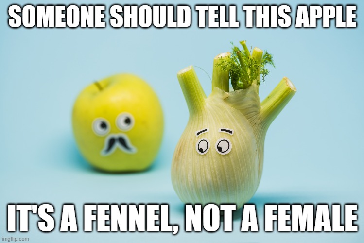 applefennel | SOMEONE SHOULD TELL THIS APPLE; IT'S A FENNEL, NOT A FEMALE | image tagged in gmo fruits vegetables | made w/ Imgflip meme maker