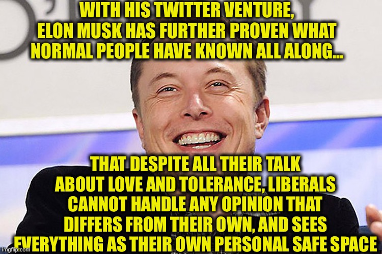 Liberals: love and tolerance for all those who fully agree with them. | WITH HIS TWITTER VENTURE, ELON MUSK HAS FURTHER PROVEN WHAT NORMAL PEOPLE HAVE KNOWN ALL ALONG…; THAT DESPITE ALL THEIR TALK ABOUT LOVE AND TOLERANCE, LIBERALS CANNOT HANDLE ANY OPINION THAT DIFFERS FROM THEIR OWN, AND SEES EVERYTHING AS THEIR OWN PERSONAL SAFE SPACE | image tagged in elon musk,twitter,liberal logic,liberal hypocrisy,memes,democrats | made w/ Imgflip meme maker