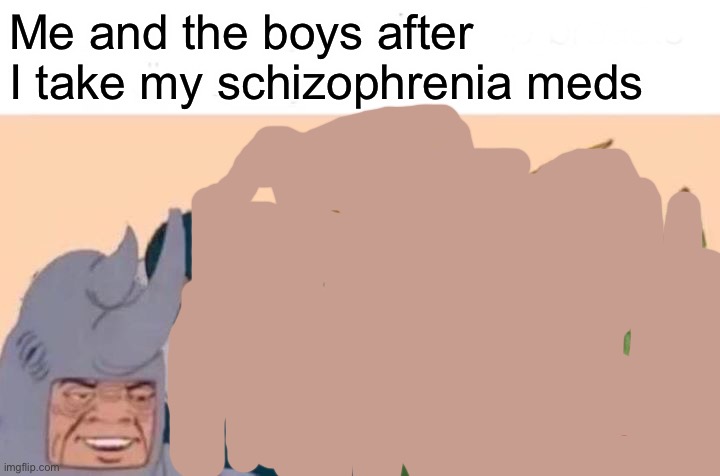 Me And The Boys | Me and the boys after I take my schizophrenia meds | image tagged in memes,me and the boys,funny,schizophrenia | made w/ Imgflip meme maker