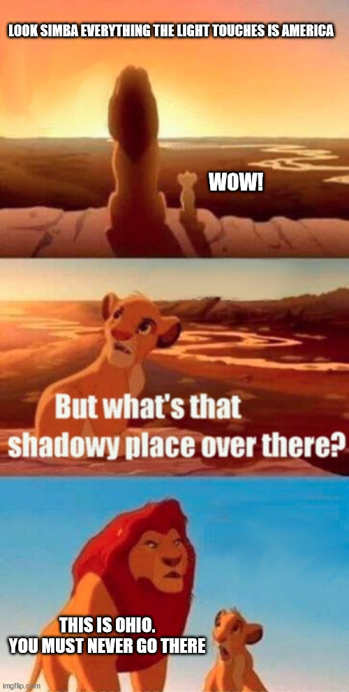 Simba Shadowy Place | LOOK SIMBA EVERYTHING THE LIGHT TOUCHES IS AMERICA; WOW! THIS IS OHIO. YOU MUST NEVER GO THERE | image tagged in memes,simba shadowy place | made w/ Imgflip meme maker