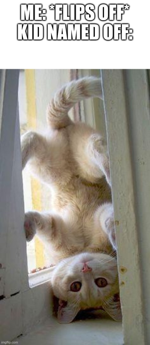 upside down cat | ME: *FLIPS OFF*
KID NAMED OFF: | image tagged in upside down cat | made w/ Imgflip meme maker