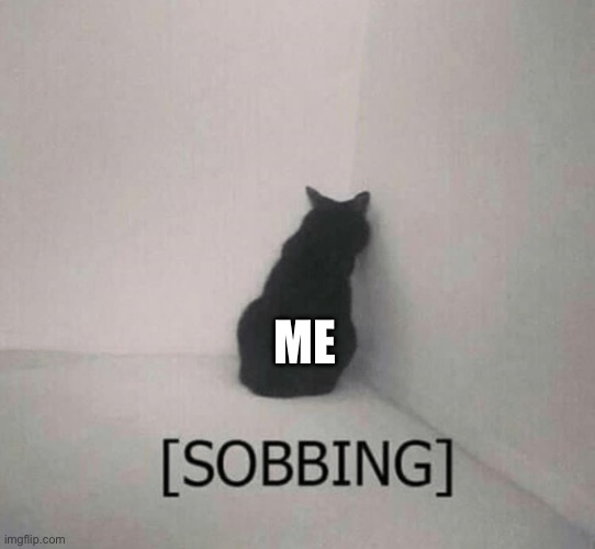 Sobbing cat | ME | image tagged in sobbing cat | made w/ Imgflip meme maker