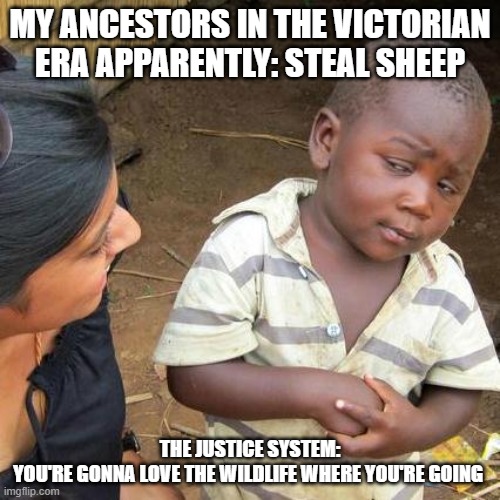 Third World Skeptical Kid | MY ANCESTORS IN THE VICTORIAN ERA APPARENTLY: STEAL SHEEP; THE JUSTICE SYSTEM:
YOU'RE GONNA LOVE THE WILDLIFE WHERE YOU'RE GOING | image tagged in memes | made w/ Imgflip meme maker