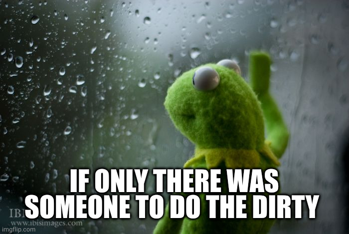 kermit window | IF ONLY THERE WAS SOMEONE TO DO THE DIRTY | image tagged in kermit window | made w/ Imgflip meme maker