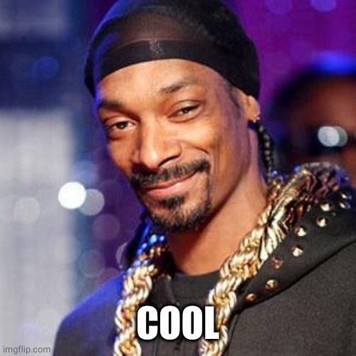Snoop dogg | COOL | image tagged in snoop dogg | made w/ Imgflip meme maker