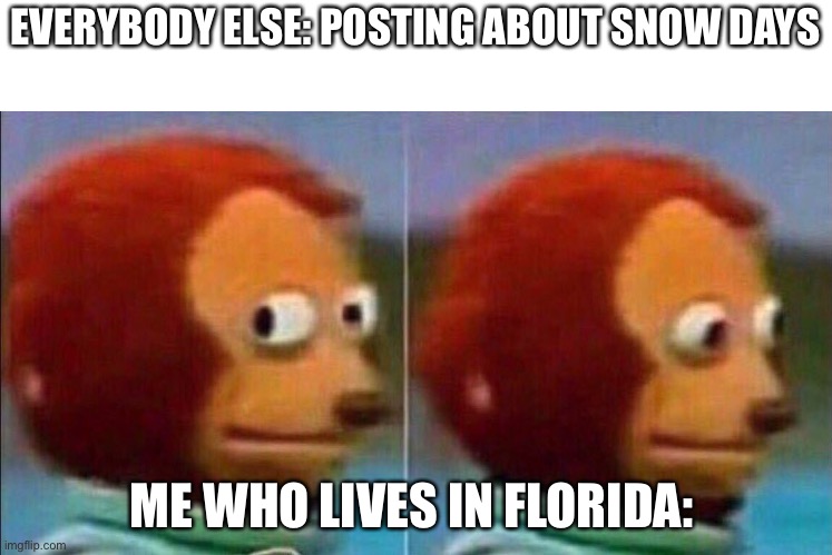 Instead we get Hurricane breaks | EVERYBODY ELSE: POSTING ABOUT SNOW DAYS; ME WHO LIVES IN FLORIDA: | image tagged in monkey looking away | made w/ Imgflip meme maker