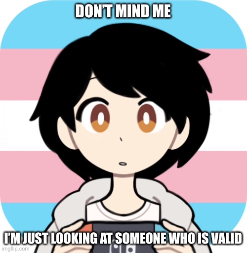 :) | DON’T MIND ME; I’M JUST LOOKING AT SOMEONE WHO IS VALID | made w/ Imgflip meme maker