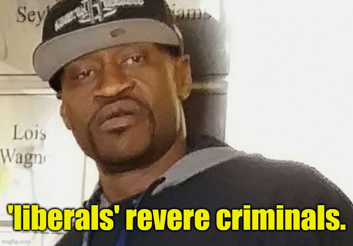 Fentanyl floyd | 'liberals' revere criminals. | image tagged in fentanyl floyd | made w/ Imgflip meme maker