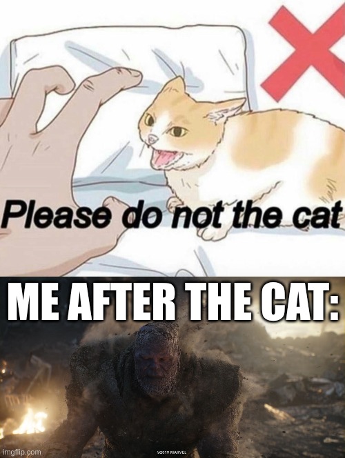 ME AFTER THE CAT: | image tagged in please do not the cat,thanos turns to dust | made w/ Imgflip meme maker