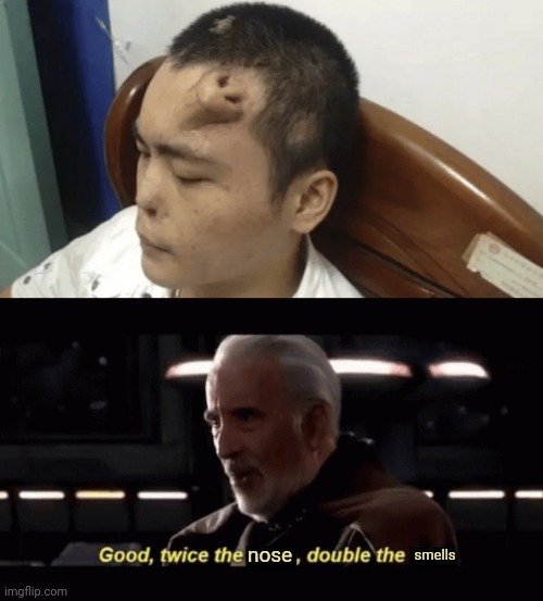 Nose | nose; smells | image tagged in count dooku twice the _ double the _,noses,cursed,nose,cursed image,memes | made w/ Imgflip meme maker