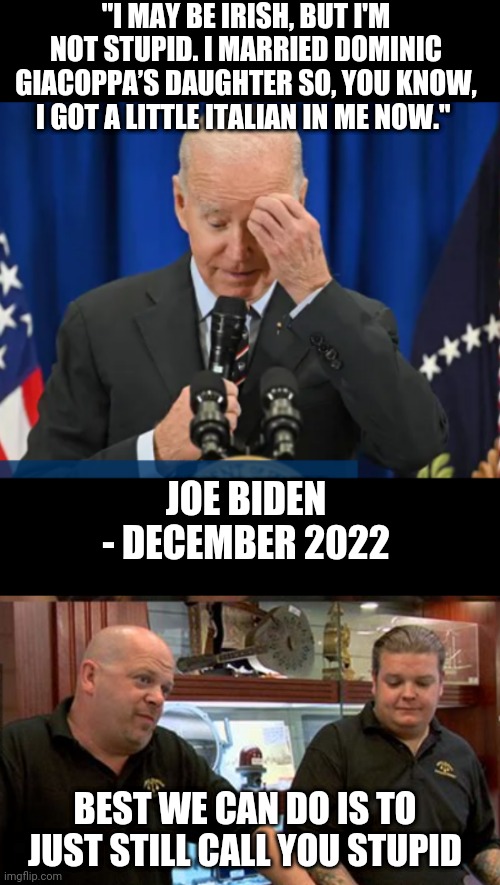 Stupid is As stupid does | "I MAY BE IRISH, BUT I'M NOT STUPID. I MARRIED DOMINIC GIACOPPA’S DAUGHTER SO, YOU KNOW, I GOT A LITTLE ITALIAN IN ME NOW."; JOE BIDEN - DECEMBER 2022; BEST WE CAN DO IS TO JUST STILL CALL YOU STUPID | image tagged in liberals,democrats,leftists,biden,bigot | made w/ Imgflip meme maker