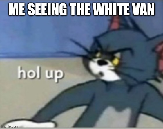 Hol up | ME SEEING THE WHITE VAN | image tagged in hol up | made w/ Imgflip meme maker