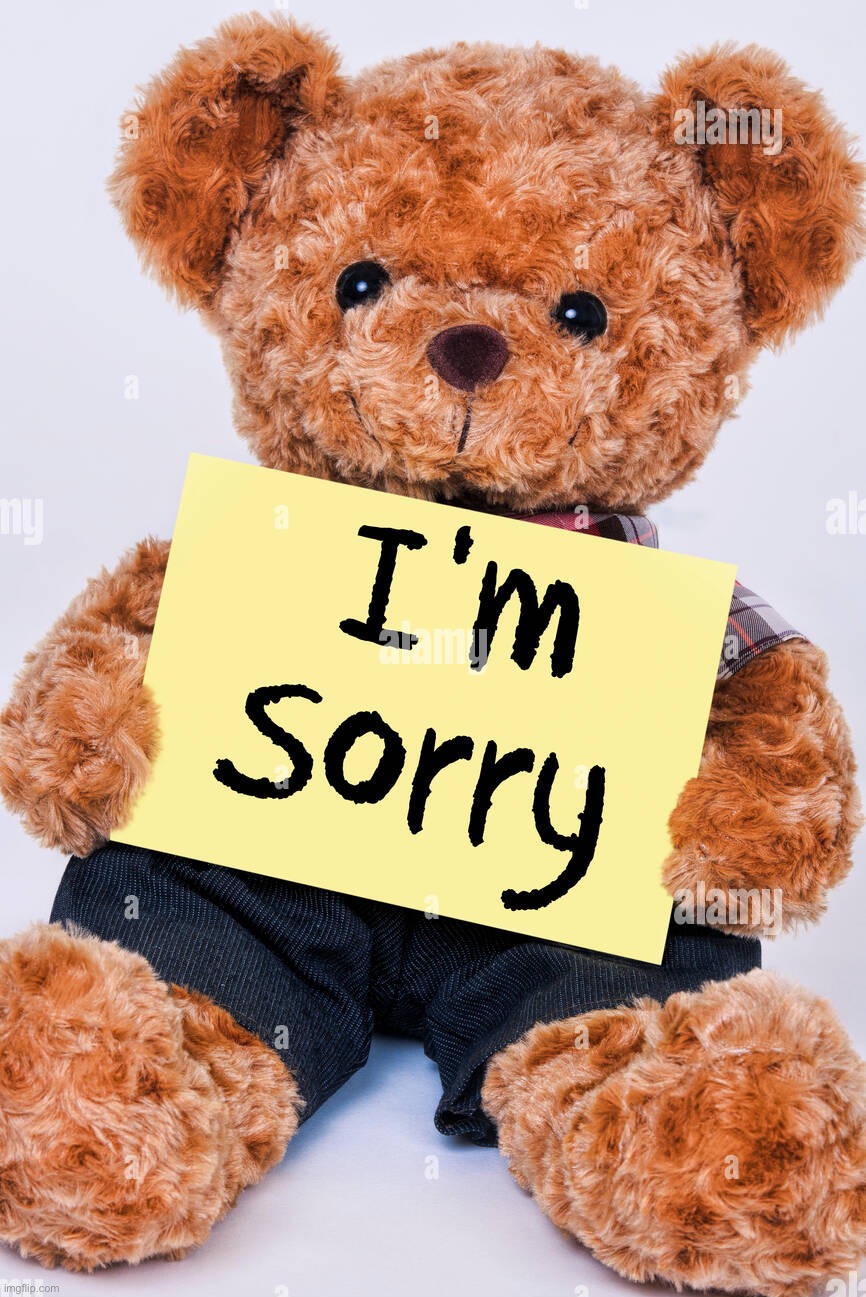 I’m sorry Teddy Bear | image tagged in i m sorry teddy bear | made w/ Imgflip meme maker