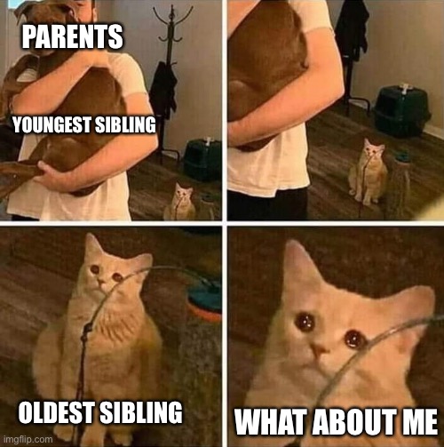 Ignored cat | PARENTS; YOUNGEST SIBLING; OLDEST SIBLING; WHAT ABOUT ME | image tagged in ignored cat | made w/ Imgflip meme maker