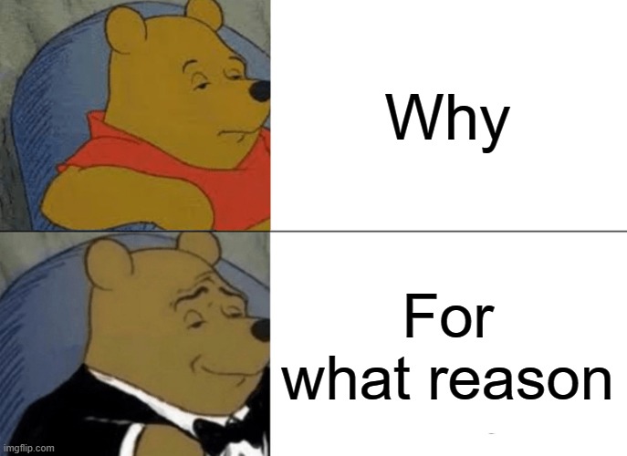 Tuxedo Winnie The Pooh Meme | Why; For what reason | image tagged in memes,tuxedo winnie the pooh | made w/ Imgflip meme maker