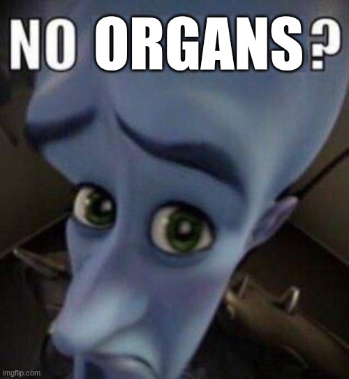 megamind no blank | ORGANS | image tagged in megamind no blank | made w/ Imgflip meme maker