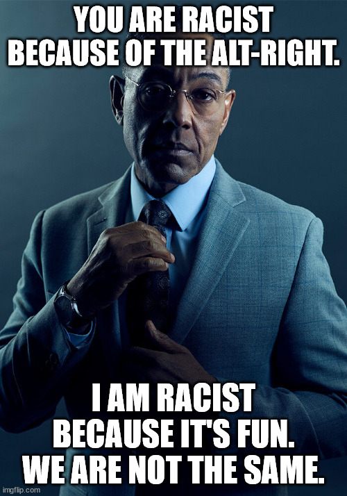 You and I are not the same | YOU ARE RACIST BECAUSE OF THE ALT-RIGHT. I AM RACIST BECAUSE IT'S FUN. WE ARE NOT THE SAME. | image tagged in you and i are not the same | made w/ Imgflip meme maker