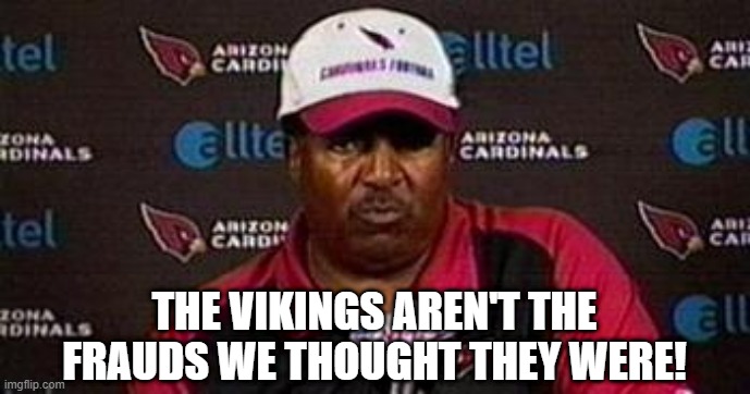 The Vikings are who we thought they were 