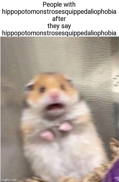 Scared Hamster | People with hippopotomonstrosesquippedaliophobia after they say hippopotomonstrosesquippedaliophobia | image tagged in scared hamster | made w/ Imgflip meme maker