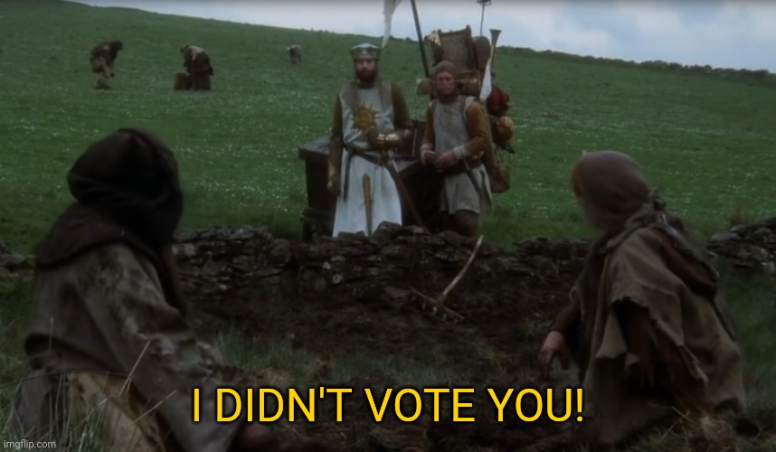 I didn't vote for you! Monty Pyton | I DIDN'T VOTE YOU! | image tagged in i didn't vote for you monty pyton | made w/ Imgflip meme maker
