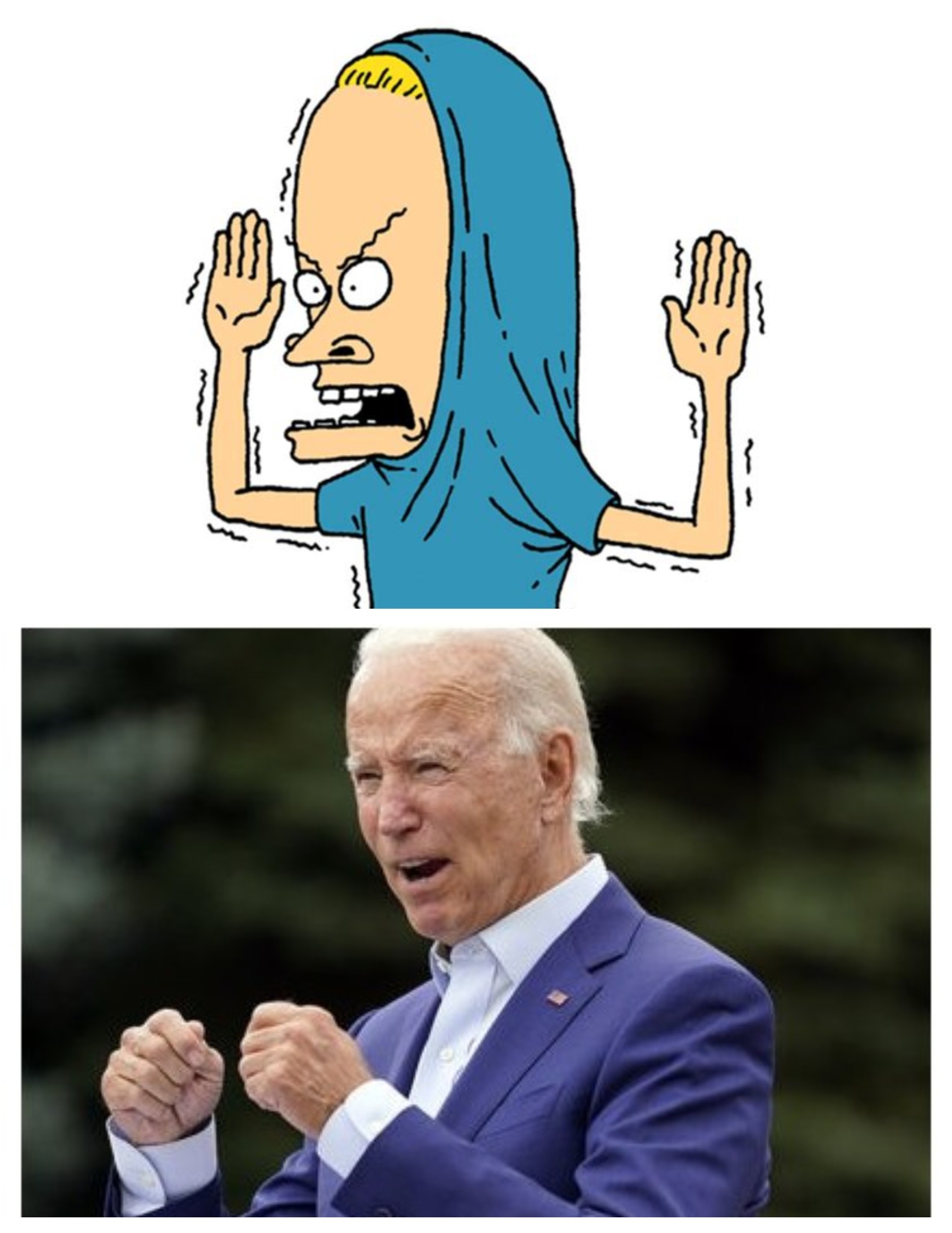 Biden Blank Meme Template