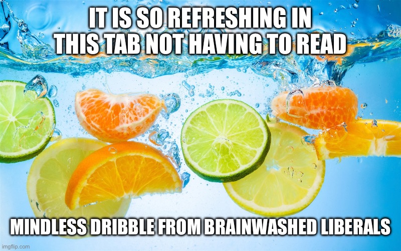Refreshing Ahh Image | IT IS SO REFRESHING IN THIS TAB NOT HAVING TO READ; MINDLESS DRIBBLE FROM BRAINWASHED LIBERALS | image tagged in refreshing ahh image | made w/ Imgflip meme maker