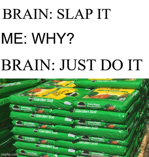 Same thing with those bags of rice.  It's instinct | BRAIN: SLAP IT; ME: WHY? BRAIN: JUST DO IT | image tagged in slap,bags,rice,dirt,satisfying | made w/ Imgflip meme maker
