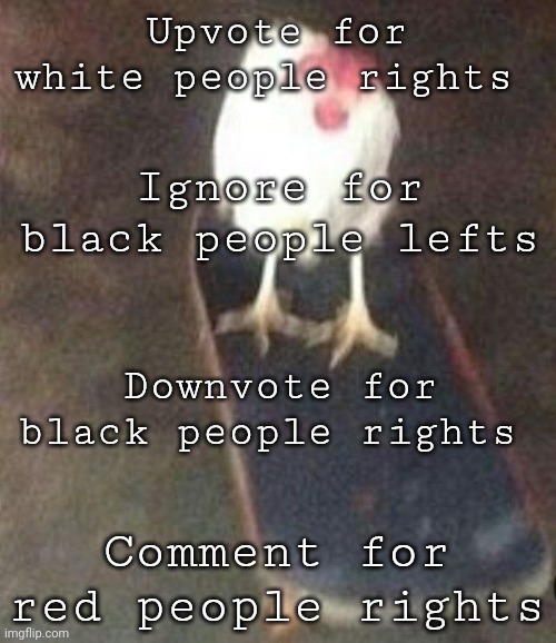 Dog on skateboard | Upvote for white people rights; Ignore for black people lefts; Downvote for black people rights; Comment for red people rights | image tagged in dog on skateboard | made w/ Imgflip meme maker