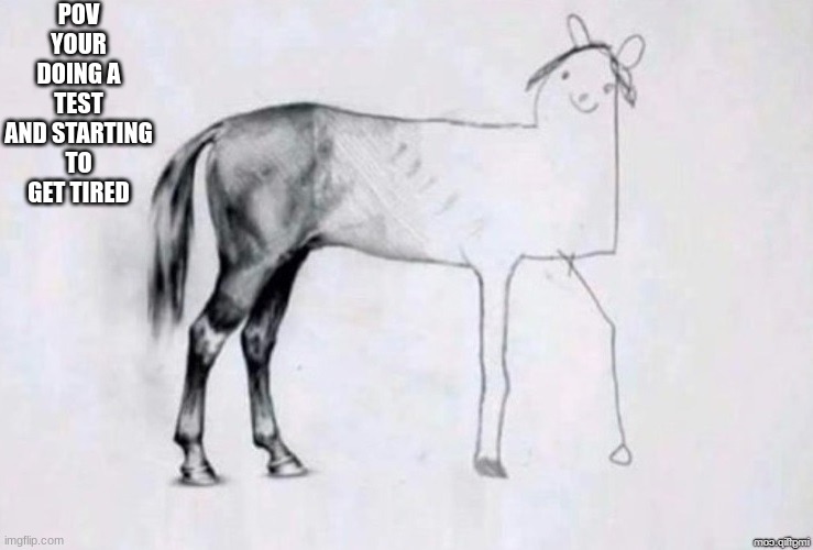 Horse Drawing | POV YOUR DOING A TEST AND STARTING TO GET TIRED | image tagged in horse drawing | made w/ Imgflip meme maker