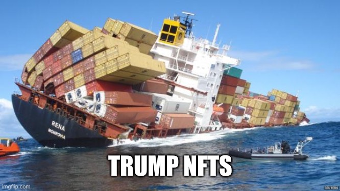 Disaster | TRUMP NETS | image tagged in disaster | made w/ Imgflip meme maker