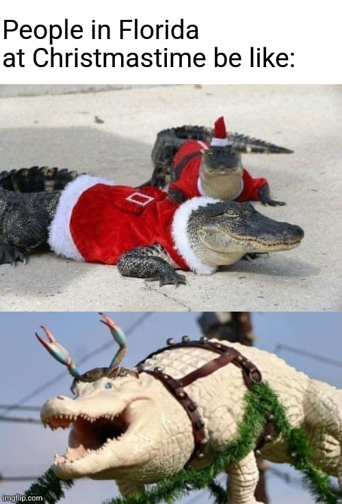 Florida Elves & Reindeer | People in Florida at Christmastime be like: | image tagged in florida,christmas,alligators,elves,reindeer,christmas memes | made w/ Imgflip meme maker