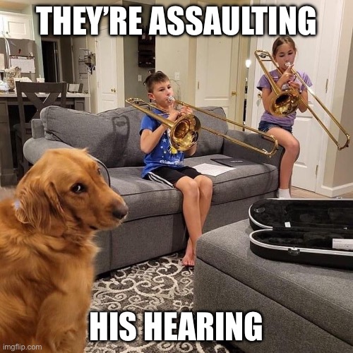 THEY’RE ASSAULTING; HIS HEARING | made w/ Imgflip meme maker