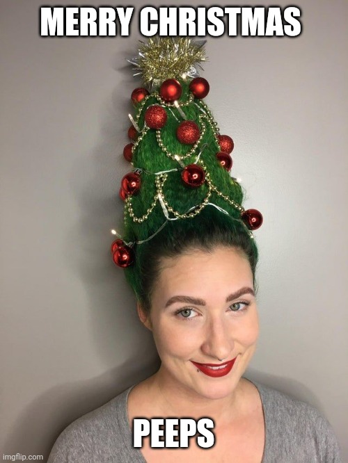 Christmas hair | MERRY CHRISTMAS; PEEPS | image tagged in christmas hair | made w/ Imgflip meme maker