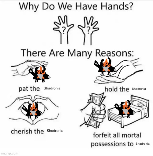 Why do we have hands? (all blank) | Shadronia; Shadronia; Shadronia; Shadronia | image tagged in why do we have hands all blank | made w/ Imgflip meme maker