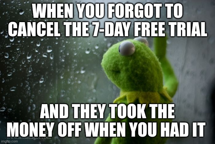 kermit window | WHEN YOU FORGOT TO CANCEL THE 7-DAY FREE TRIAL; AND THEY TOOK THE MONEY OFF WHEN YOU HAD IT | image tagged in kermit window | made w/ Imgflip meme maker