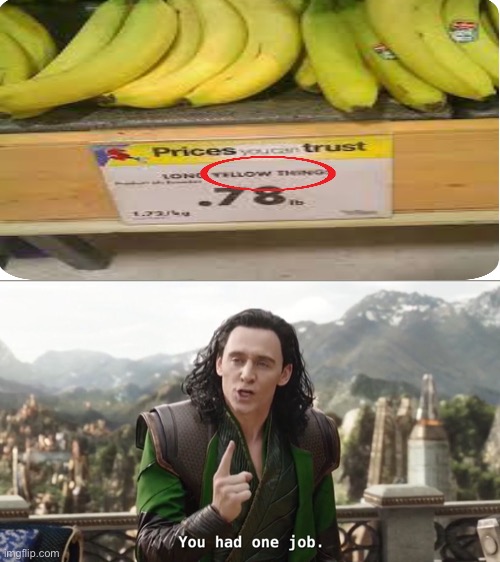 Why are bananas called long yellow things employees?!?! | image tagged in you had one job just the one | made w/ Imgflip meme maker